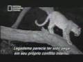 inan�lmaz agliyacaks�n�z seyrederken