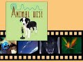 Animal Wise Presents