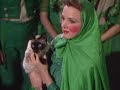 colonelgurgle's erasure/wizard of oz video