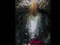 Fleurs du mal extended version