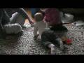 videos de Addison Crawls For the Very First Time!
