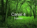 Canal 4 satelital