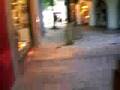 11 Mundo de Perla-03/11-Coti Nosiglia-Curso Paseo La Plaza-