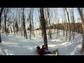 Caribbean man hits tree on a snowboard - YouTube