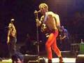 Gogol Bordello in Padova - Harem in Tuscany