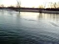 Rc Boat Cat  Miss Longlite 5 S12000 Mah 66.4 Mph Fast Electric