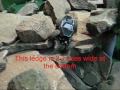 Losi Micro Rock Crawler with DP Torsion Chassis 2.wmv