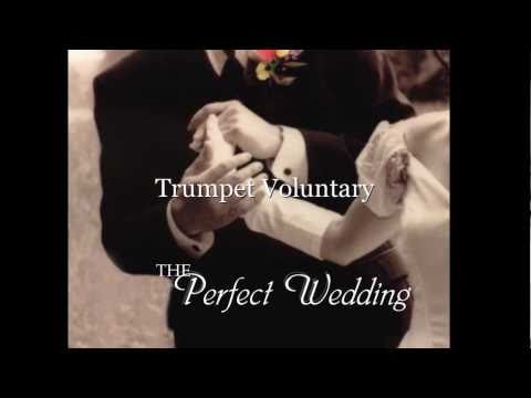 voluntary - This version of