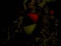 videos de SV_A0176.mp4