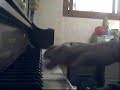 Hajime No Ippo 1ED - Yuuzora no Kami Hikouki (piano)