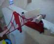 Simple Rube Goldberg Machine II