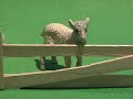 CBBC ident