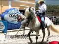 Desfile hípico dia de los ganaderos fiestas julias 2008 Desfile hípico dia de los ganaderos fiestas julias 2008