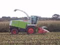 A video of a Claas Jaguar 830 self propelled harvester harvesting maize in fields in Guernsey, Channel Islands. This is the only self propelled harvester in Guernsey and it was filmed on the 17th October 2008. The last clip I filmed following the tractor and trailer was filmed using a hard hat with a mounting for my camera which I recently made.I have another video which shows the Claas Jaguar harvesting grass silage which is on my Channel.