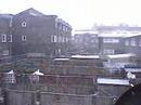 snowing