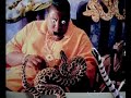 Snakes on a Plane