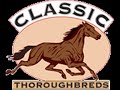 Horses! Horses!