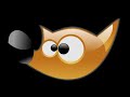 GIMP 2.6 TUTORIAL - TOOLS FOR SELECTING AND REMOVING THE BACKGROUND
