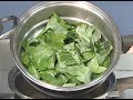 Watch as The Produce Lady offers ideas on how to enjoy more delicious, leafy greens that are abundantly available in fall, winter and spring. Kale, collards, turnips, mustard greens, spinach and arugula are some of the popular choices. Did you know that all greens are high in three notable antioxidants: vitamin E, vitamin C and vitamin A -- through their concentration of beta-carotene? Find more fresh produce facts and resources at www.theproducelady.org