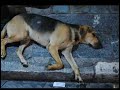 MSCS PMB Trip -- Athens, Greece 2007 Part 4/5
