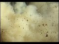 Seven Pound Tannerite Under Barrel