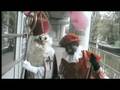 Valtifest Sinterklaas en Zwarte Piet