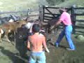 RODEIO DE PASSA QUATRO (4)