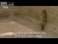 Stupied Isreal Sniper Stupied Isreal Sniper