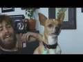 Talking Dog Doug and John Neff