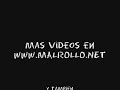 Susto de cebras