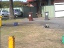 petrol fuled racing maddness petrol fuled racing maddness