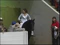 Adestramento de cavalos