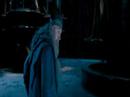 voldemort-s-dumbledore-harca-magyar.html