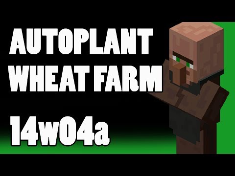 how to replant wheat