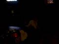 videos de dogs playing