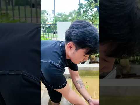 Sau mưa lũ thì rửa dọn kho tại TP.Huế. Nước ngập đến nữa người mà kho xi măng vẫn ko hư hại gì.