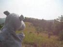 Blue Ridge Parkway Panorama with Hippo