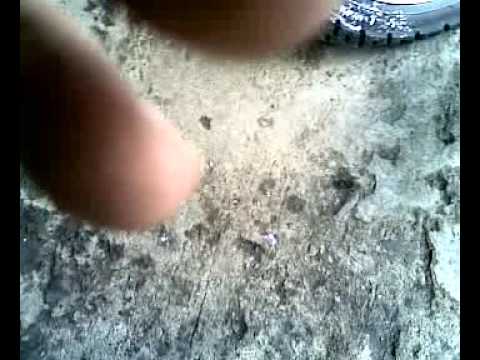 how to change oil nouvo z
