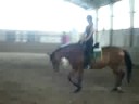 Willi und ich neu
