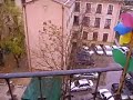 Ratito de Nieve Ratito de Nieve