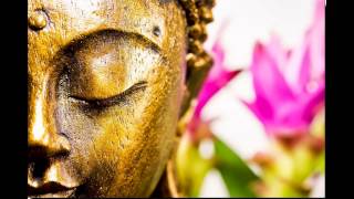 Les huiles essentielles et le massage Phénix-Bien-être