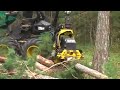 Timberjack Harvester im H�lleser Pechwald