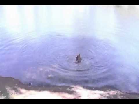 See video