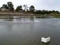BRUSHLESS MONO HULL RC BOAT, VERY FAST!!
