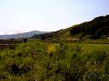 Click here to watch this video 画質ｲﾏｲﾁ 2012.5.20 SL試運転 釜石線 遠野付近
