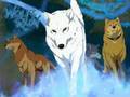 Wolf's Rain - Face On