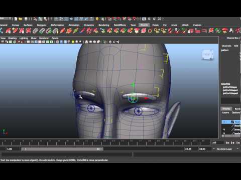 how to control eyebrow muscles