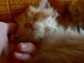 videos de Ruby Rouge day 52