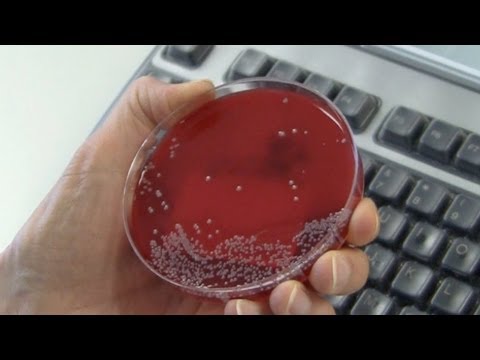how to collect mrsa culture