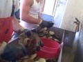 videos de Cutting Scallops